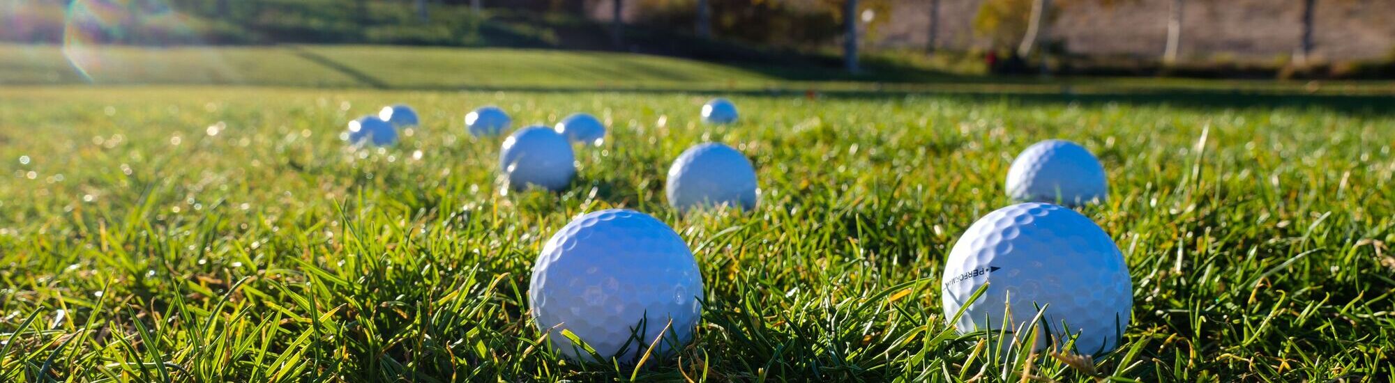 A close-up view of several white golf balls scattered on green grass under sunlight.